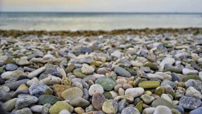 Прикрепленное изображение: _DSC2957.JPG